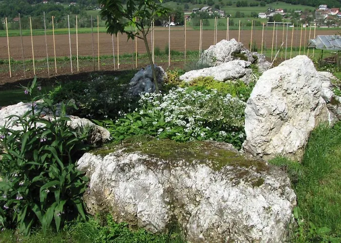 Počitniška hiša Dom Sticna *